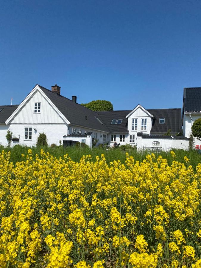 Vejle Golf Apartments Børkop Zewnętrze zdjęcie