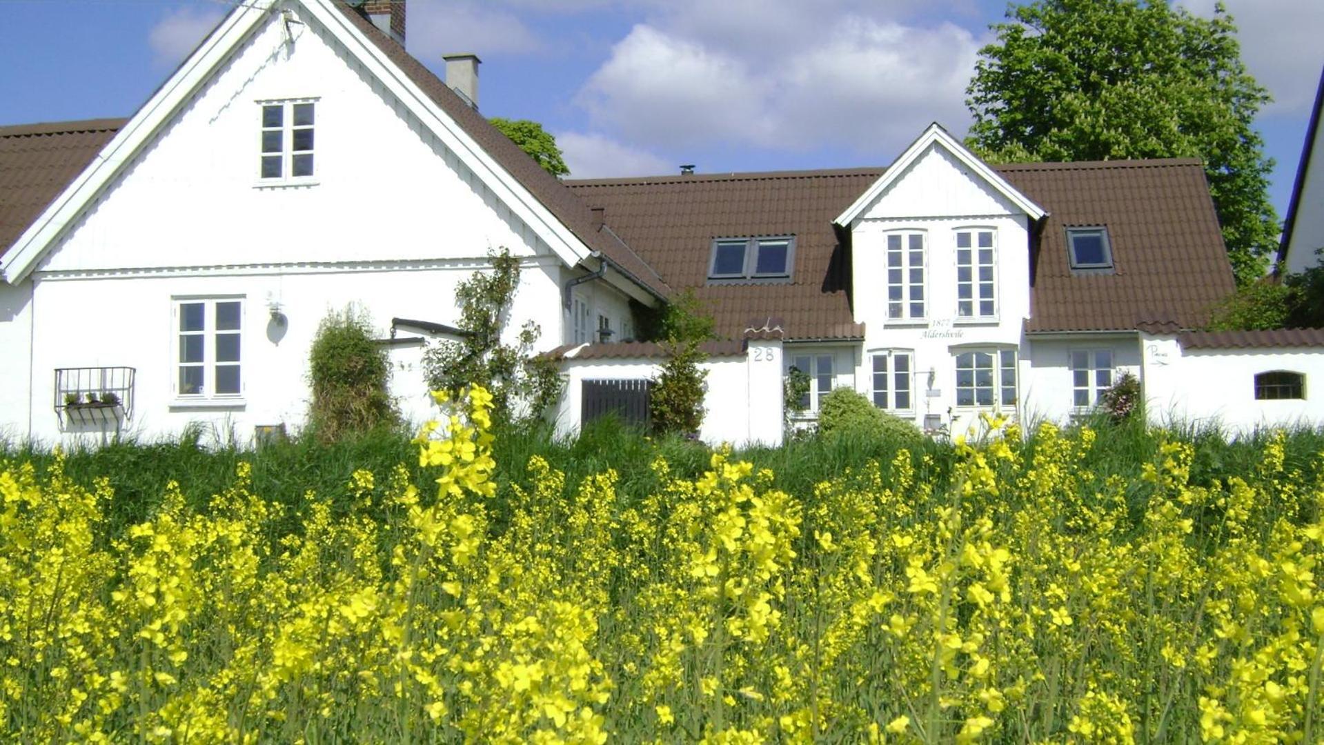 Vejle Golf Apartments Børkop Zewnętrze zdjęcie