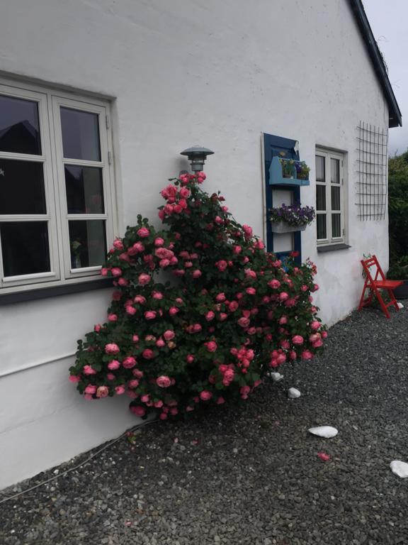Vejle Golf Apartments Børkop Zewnętrze zdjęcie