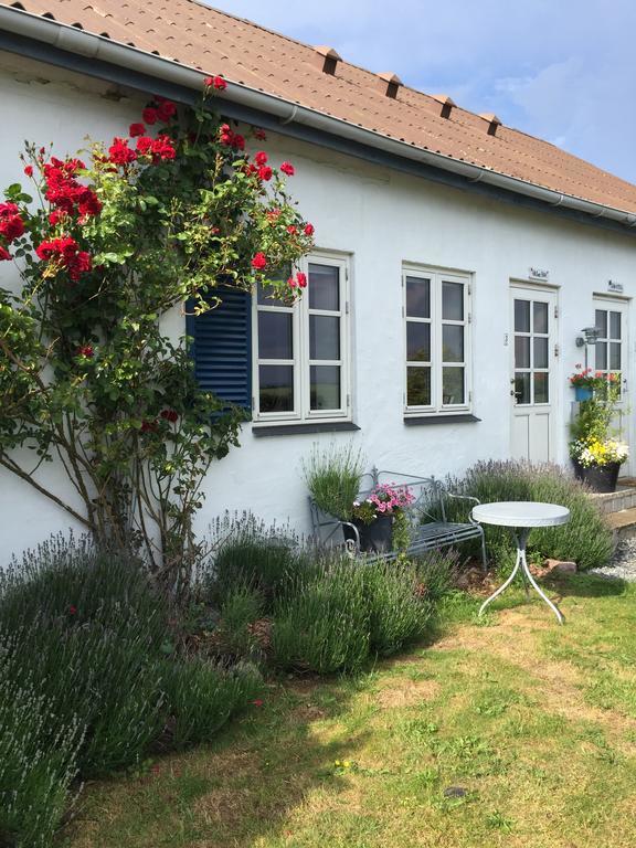 Vejle Golf Apartments Børkop Zewnętrze zdjęcie